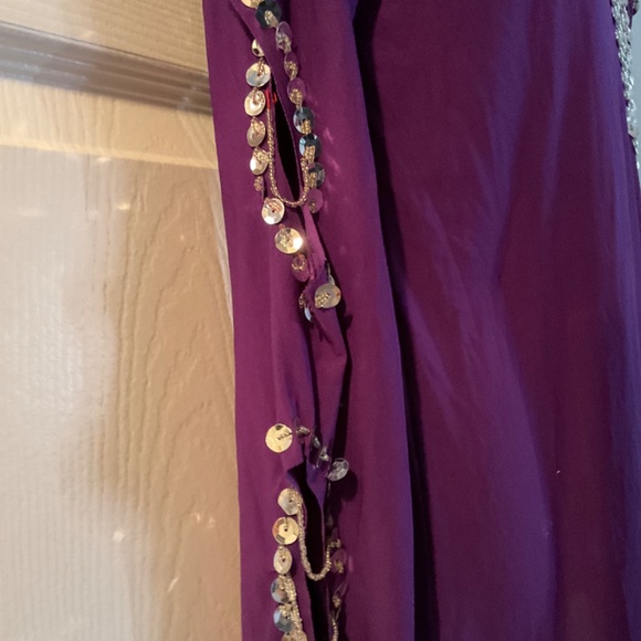 Professional Bellydance Beledi Dress, sexy wear, dance wear - Picture 4 of 5